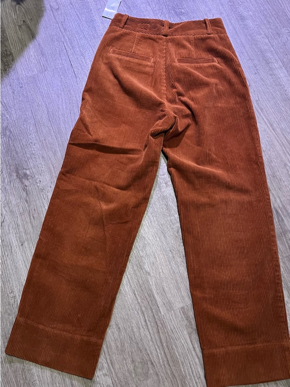 Ag Adriano Goldschmied Corduroy Wide-Leg Pants in Burnt Orange